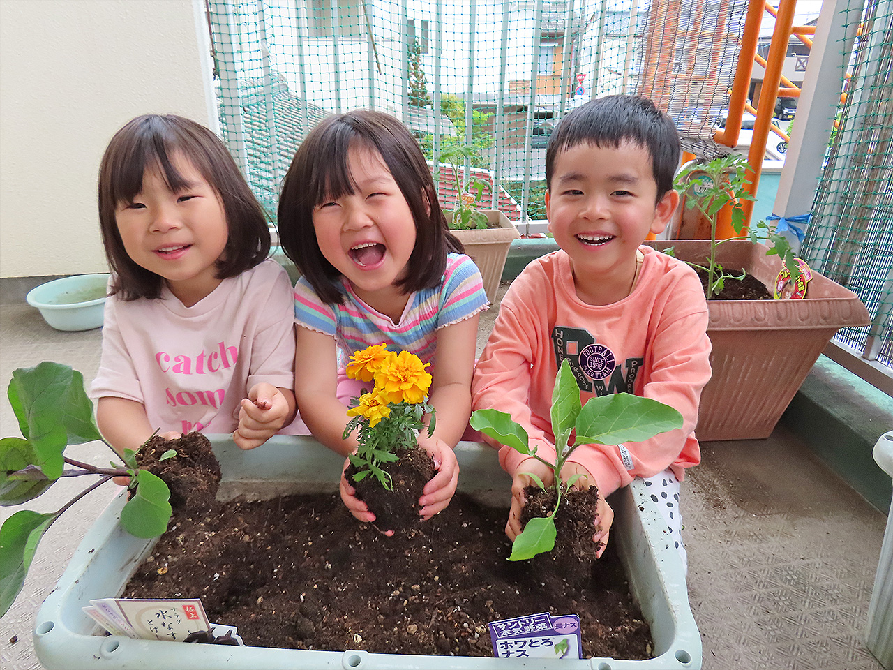 かわいいお花を植えたよ。